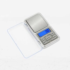 Scale Main