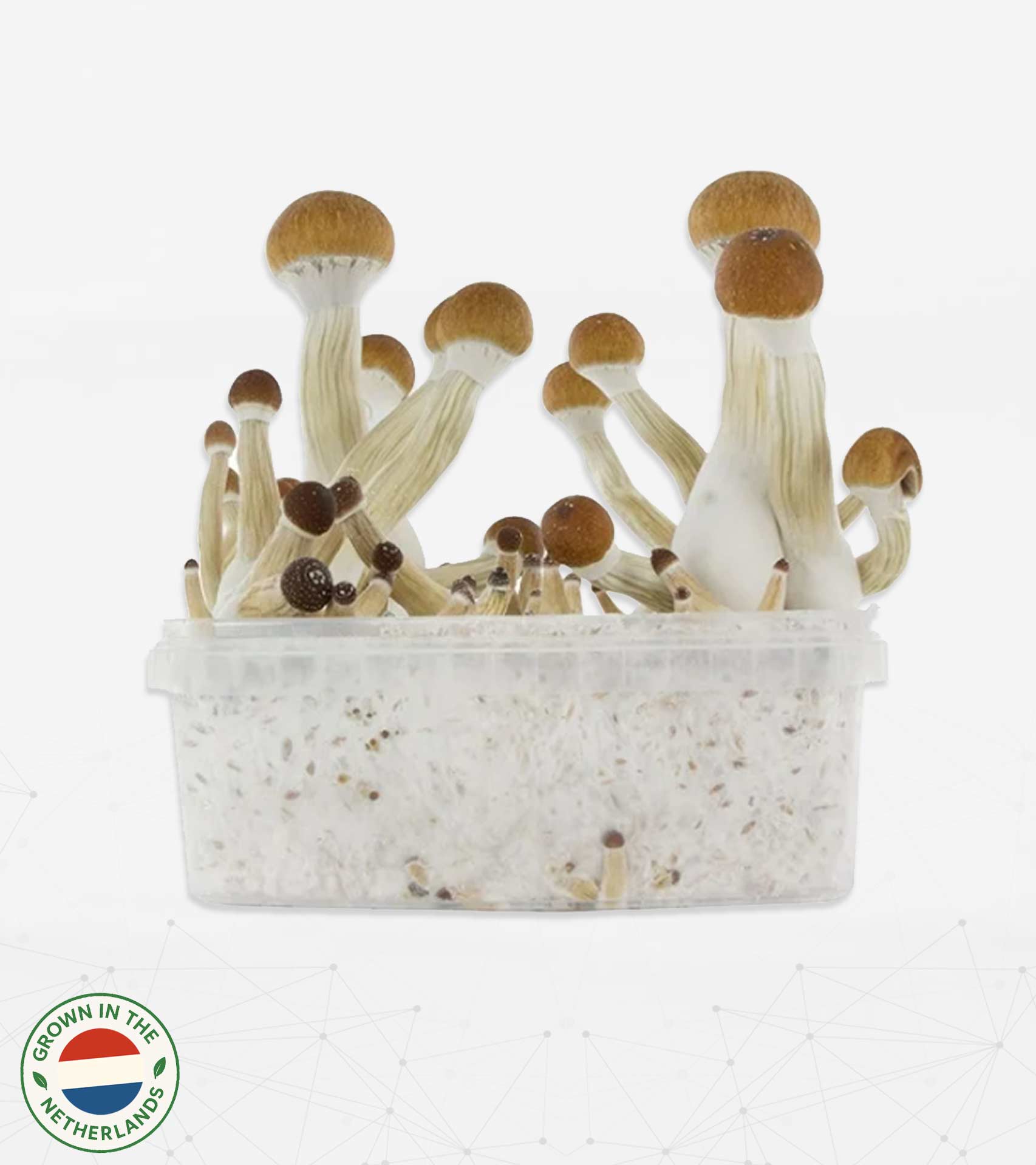 Grow Kit Main