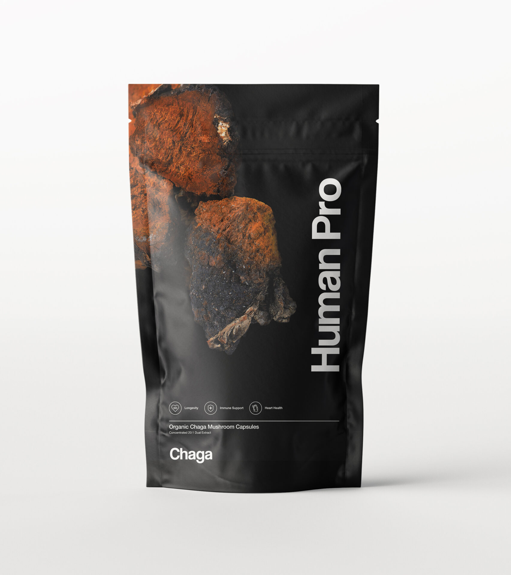 Chaga