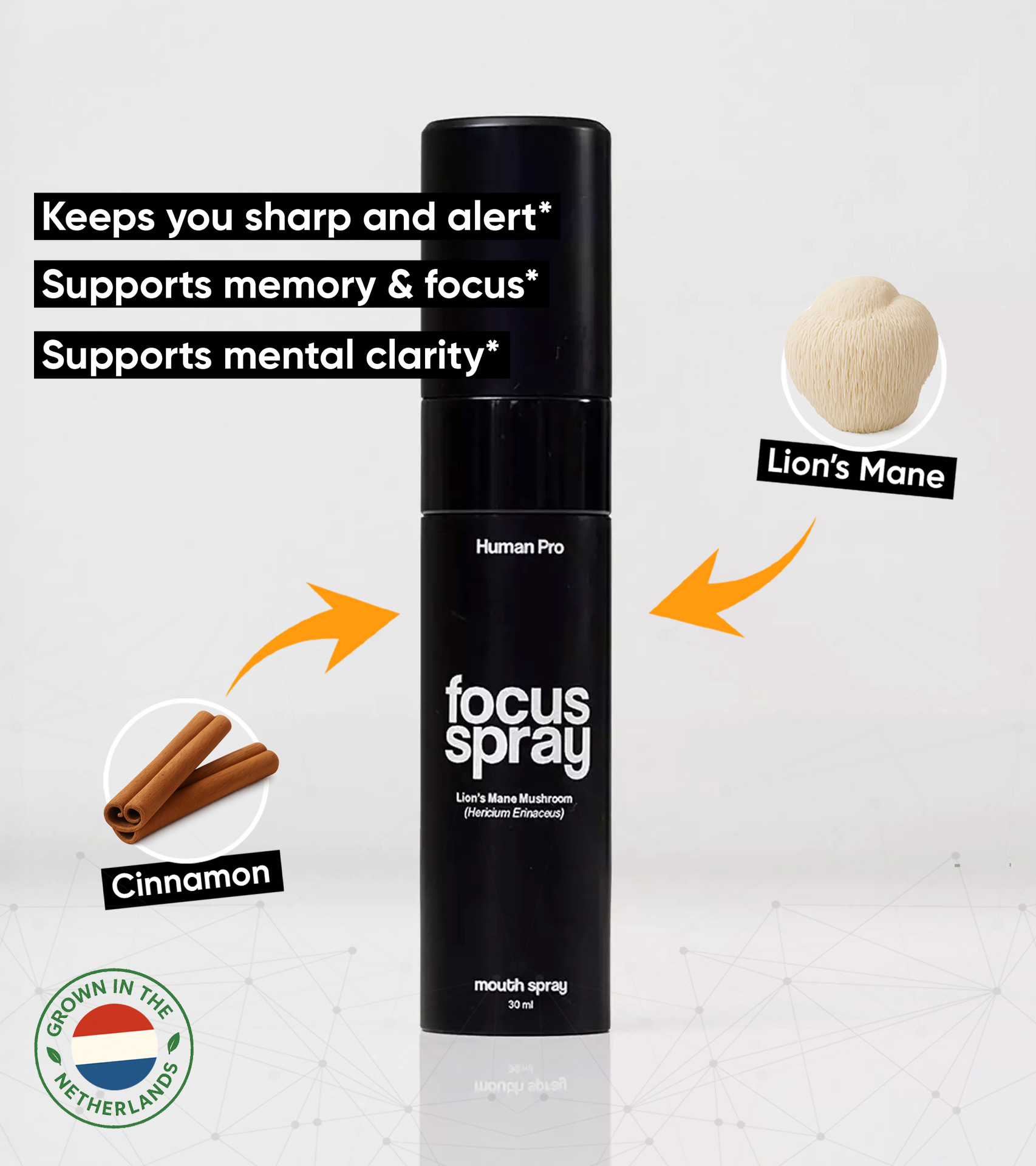Lion’s Mane Focus Spray