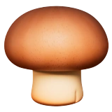 Mushroom Supplement