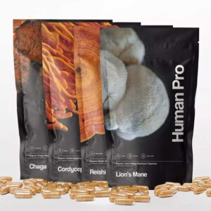 Mushroom Supplement Bundle
